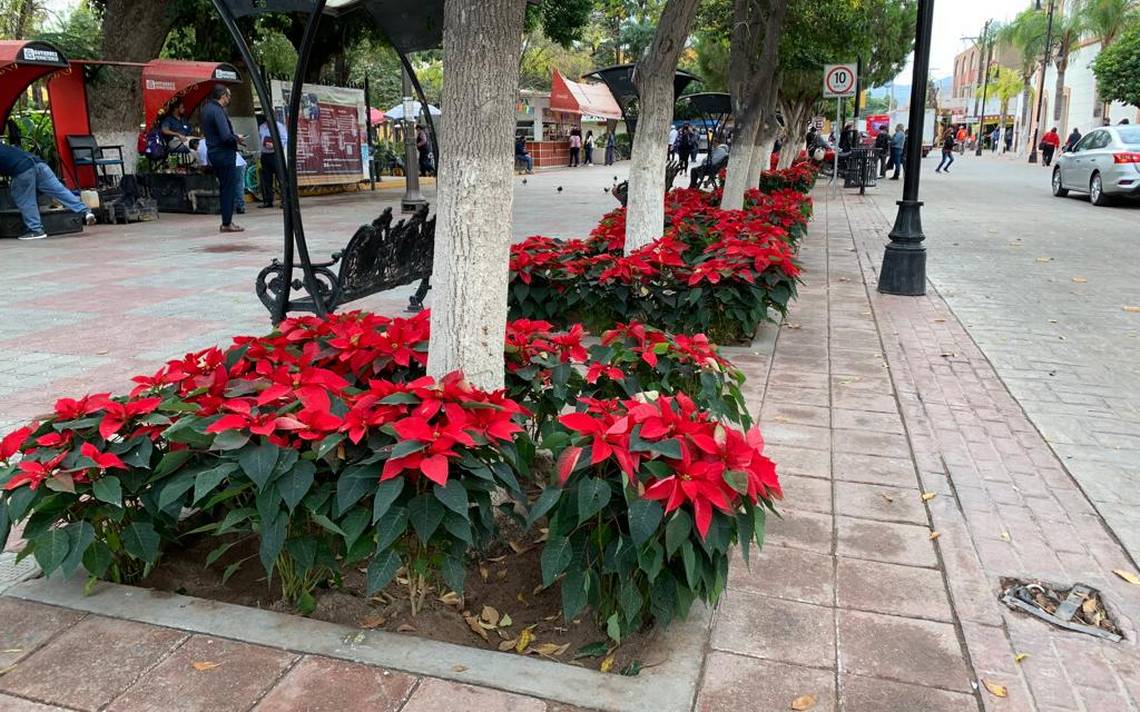 Llega la Navidad! Instalan adornos navideños en Lerdo - El Sol de Durango |  Noticias Locales, Policiacas, sobre México, Durango y el Mundo