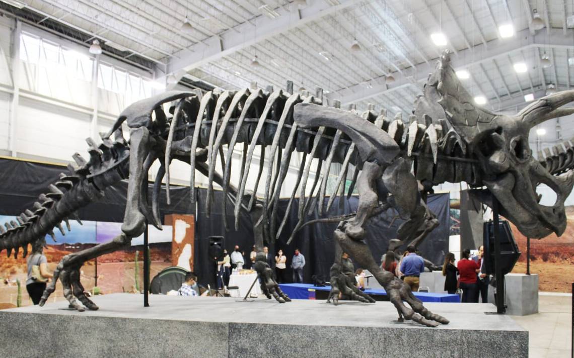 Este viernes inaugurarán exposición de #dinosaurios en la Feria de #Durango  - El Sol de Durango | Noticias Locales, Policiacas, sobre México, Durango y  el Mundo